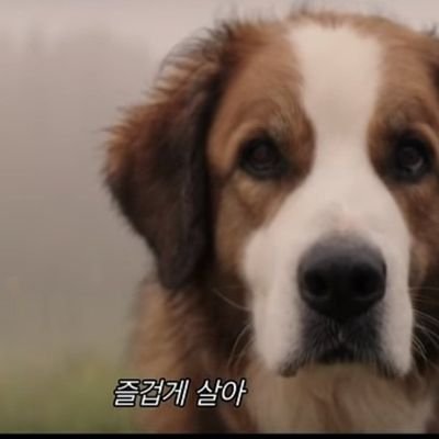 멍