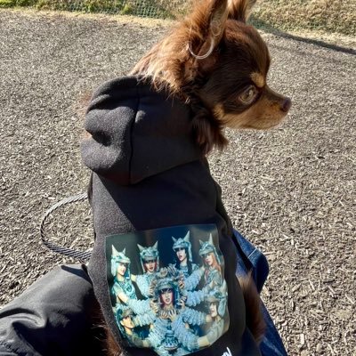 えりぃ🐺ALPHAZ