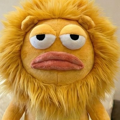 小小东 creator profile image