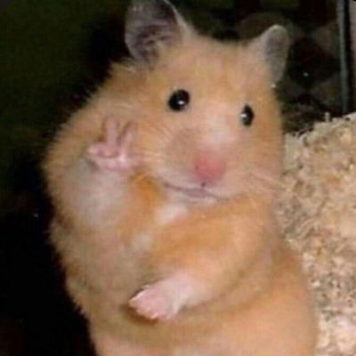 ❤️れな🐱🐹