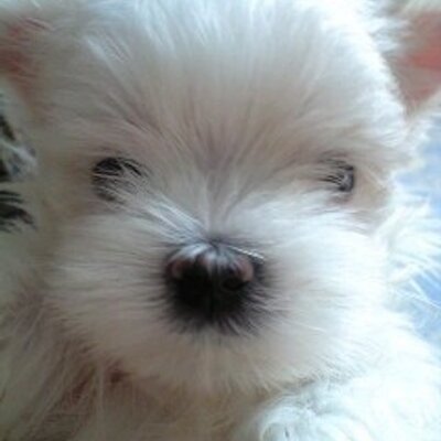 みずほっち･*･ﾟ'★,｡･*･ﾟ'☆･