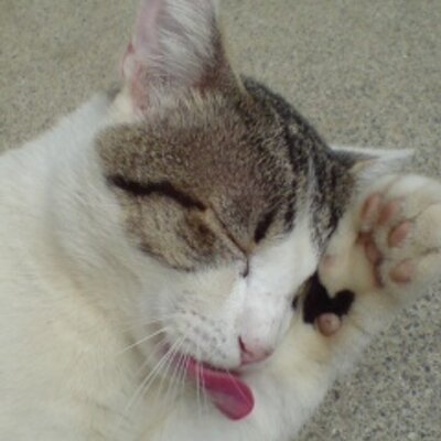 やぶ🏠️🗝️
