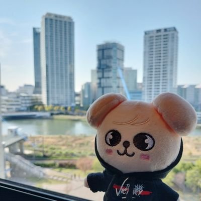 通知が来ません◆ふじさき