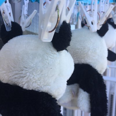 パンダ@パチマガ