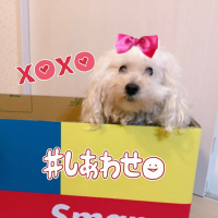 🌟ゆみもか💙❤🩷🤍💛💚
