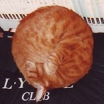 山岸真(新アカ)