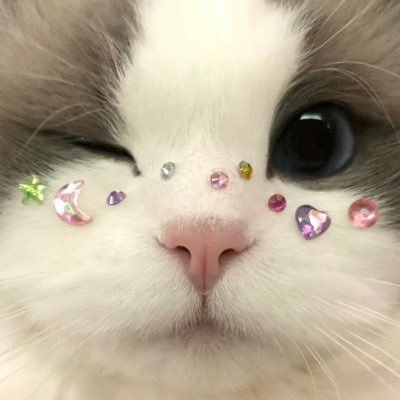 なゆ