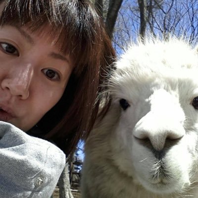 まきのようこ。