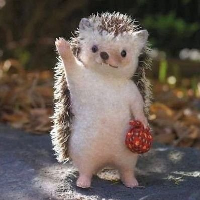 🦋よねねこ💙🧡OneIt&MOODZ