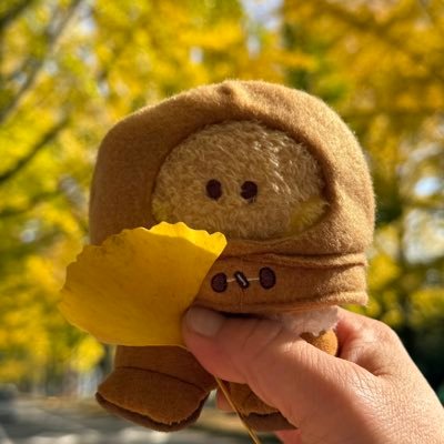 ᴄʜɪᴍɪᴋᴏ 