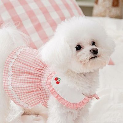 アレン【大阪キャバ特化】