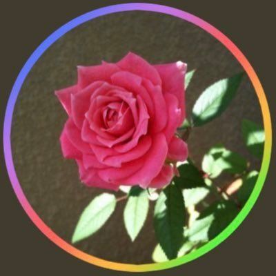 𝐘𝐨𝐬𝐡𝐢𝐤𝐨 🌸