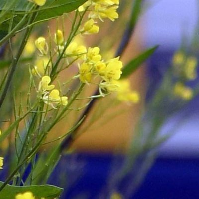 よし総合車両センター