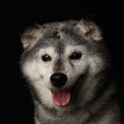 羊毛フェルト　義助