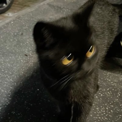 芳園