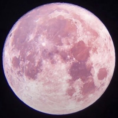 よしの