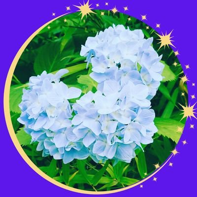 𝐲𝐮𝐤𝐚☪*