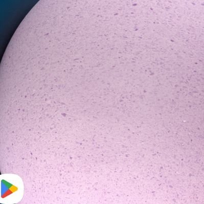 写真集ランキング【毎日更新】