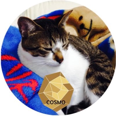 yukapu📣🏁🧢🦄🧸🐯