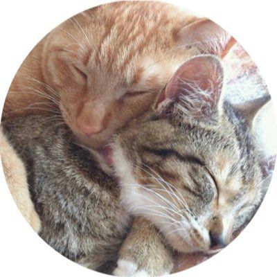 🌸𝐲𝐮𝐤𝐢🦋