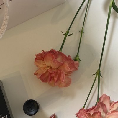 yu 💫🥀🐝💖⚡️