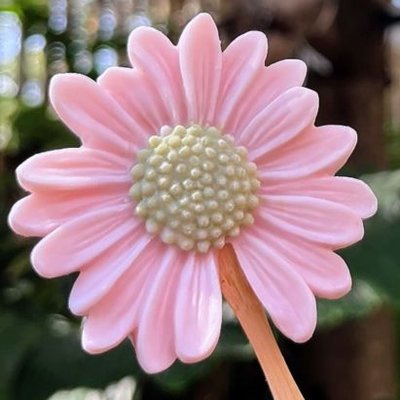 由起💙🐶🐱🐹🧡