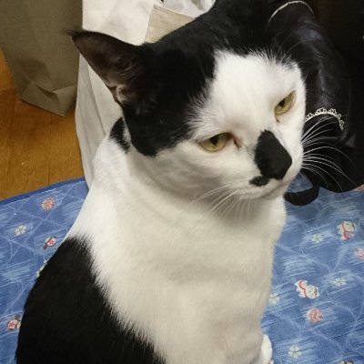198yen