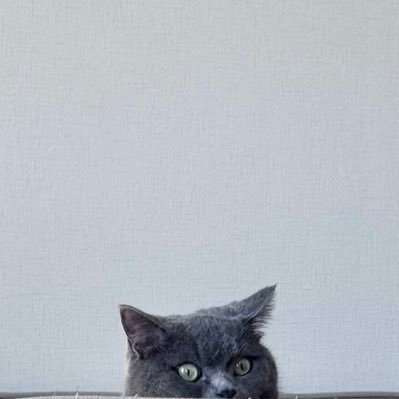 ゆーら_yula.pt❔