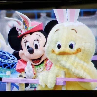 ゆめた@お取引用/返信速度🟩・取引中🟢