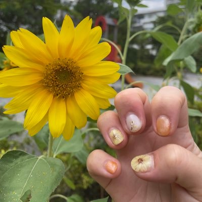 むーみん🐙🐰