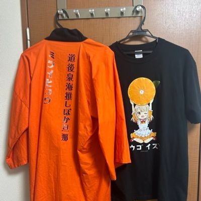 ミライヒコウ　@アロピおじさん