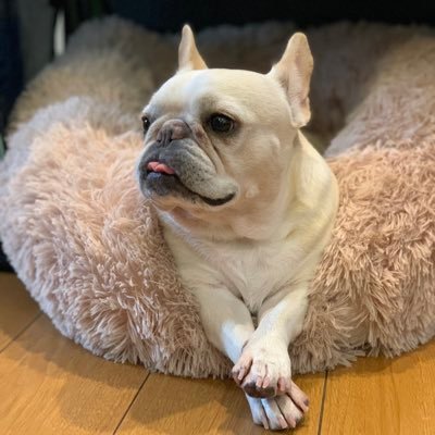 ゆうちゃん 🧸🐶ちぇろった