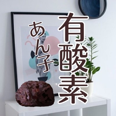 有酸素あん子