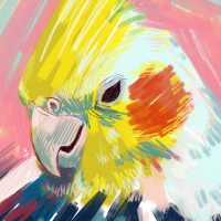 ゆわふわ