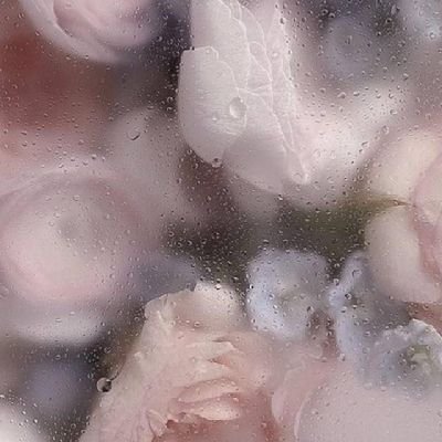 結（ゆん）