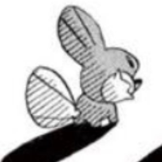 いえ