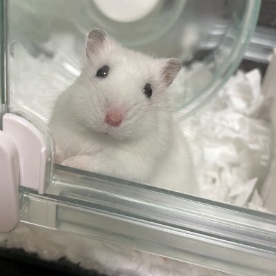 たやま