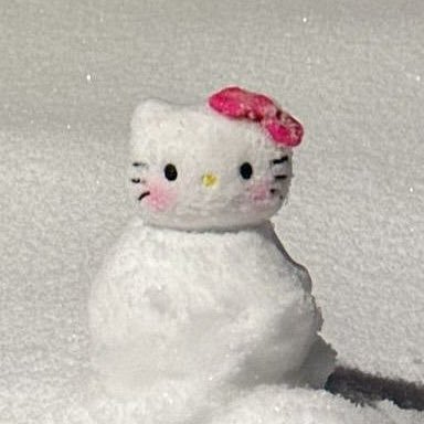 𐔌՞⁔•͈ ·̫ •͈⁔՞𐦯⋆꙳