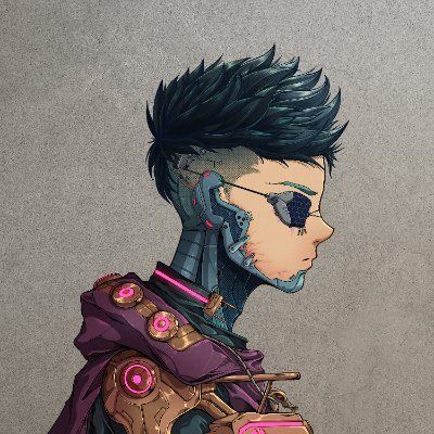 zax_raider
