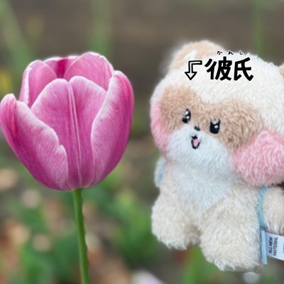 ジャンハオ好き好きアカウント