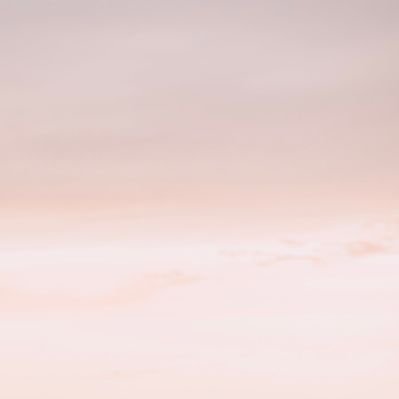 ‎૮・ﻌ・ა.🐾