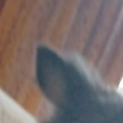 ずんぐりむっくりずんだもん