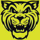 Wildcat Movers - Dallas