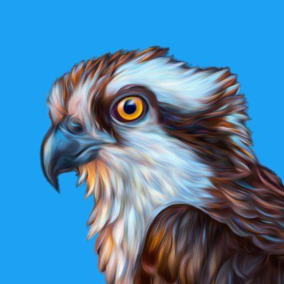 avatar for 0x_osprey