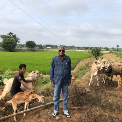 Basharath (بشارت علی)