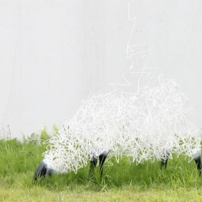 とりさん (羽鳥 貴成)