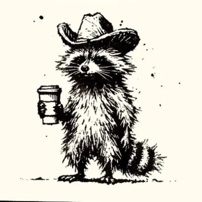 RaccoonHeadset
