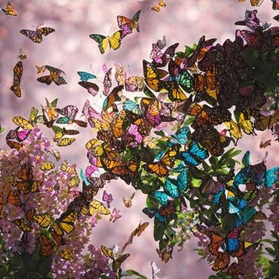 Sasha Luccioni 头像