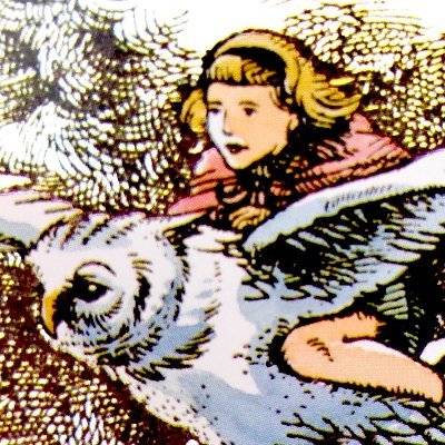 Boze the Library Owl 😴🧙‍♀️