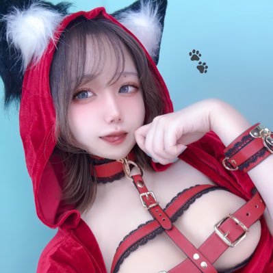 🦴 ぽちょの秘密部屋 🦖 (ぽちょ)